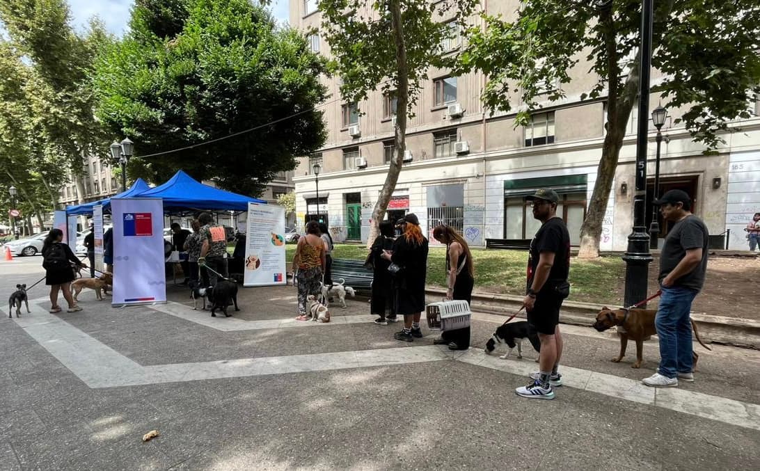 Residents wait with dogs beside a blue vaccination tent and Chilean government banners at an outdoor public dog-vaccination site. Credit: World Health Organization (WHO), posted on the WHO X account. Photographer not named on the post. Source page: https://x.com/WHO/status/2099532097538965821