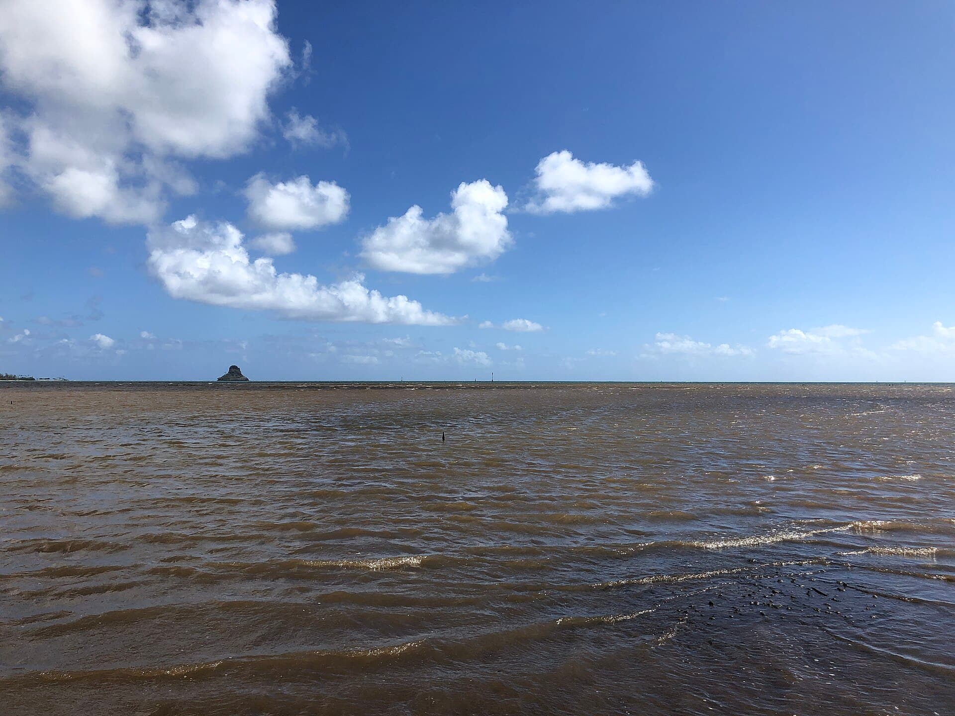 View northeast across Kāneʻohe Bay toward Mokoliʻi from Waiāhole Beach Park, Oʻahu, Hawaiʻi. Habitat context for the acoustic-enrichment field site; not a photograph of the experimental speakers or autonomous cameras. Photo: Famartin, via Wikimedia Commons (CC BY-SA 4.0). Source page: https://commons.wikimedia.org/wiki/File:2021-10-06_09_58_30_View_northeast_across_K%C4%81ne%CA%BBohe_Bay_towards_Mokoli%CA%BBi_(Chinaman%27s_Hat)_from_Wai%C4%81hole_Beach_Park_in_Waik%C4%81ne,_Oahu,_Hawaii.jpg