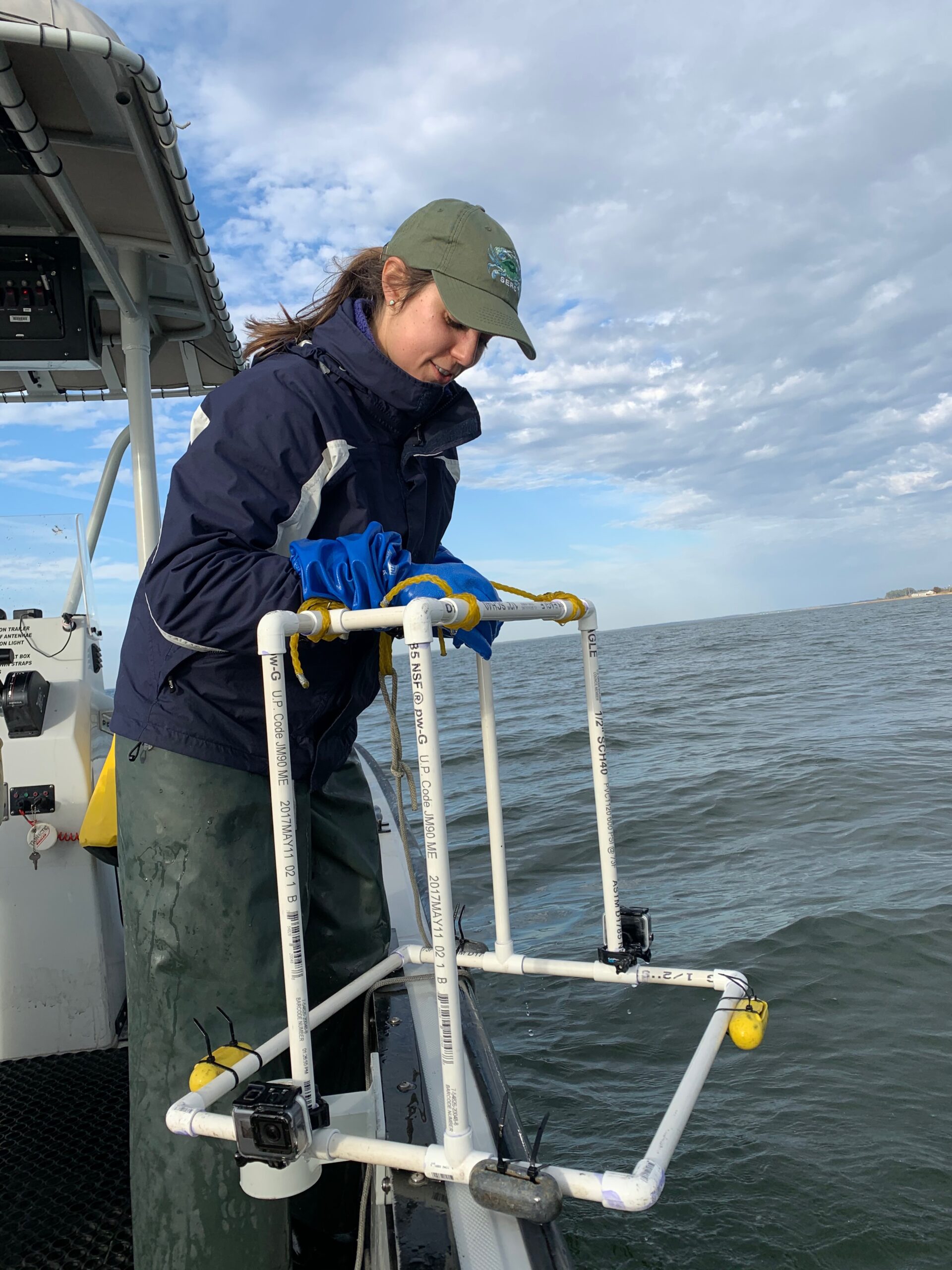 Allison Tracy lowers an underwater camera into the Chesapeake Bay.