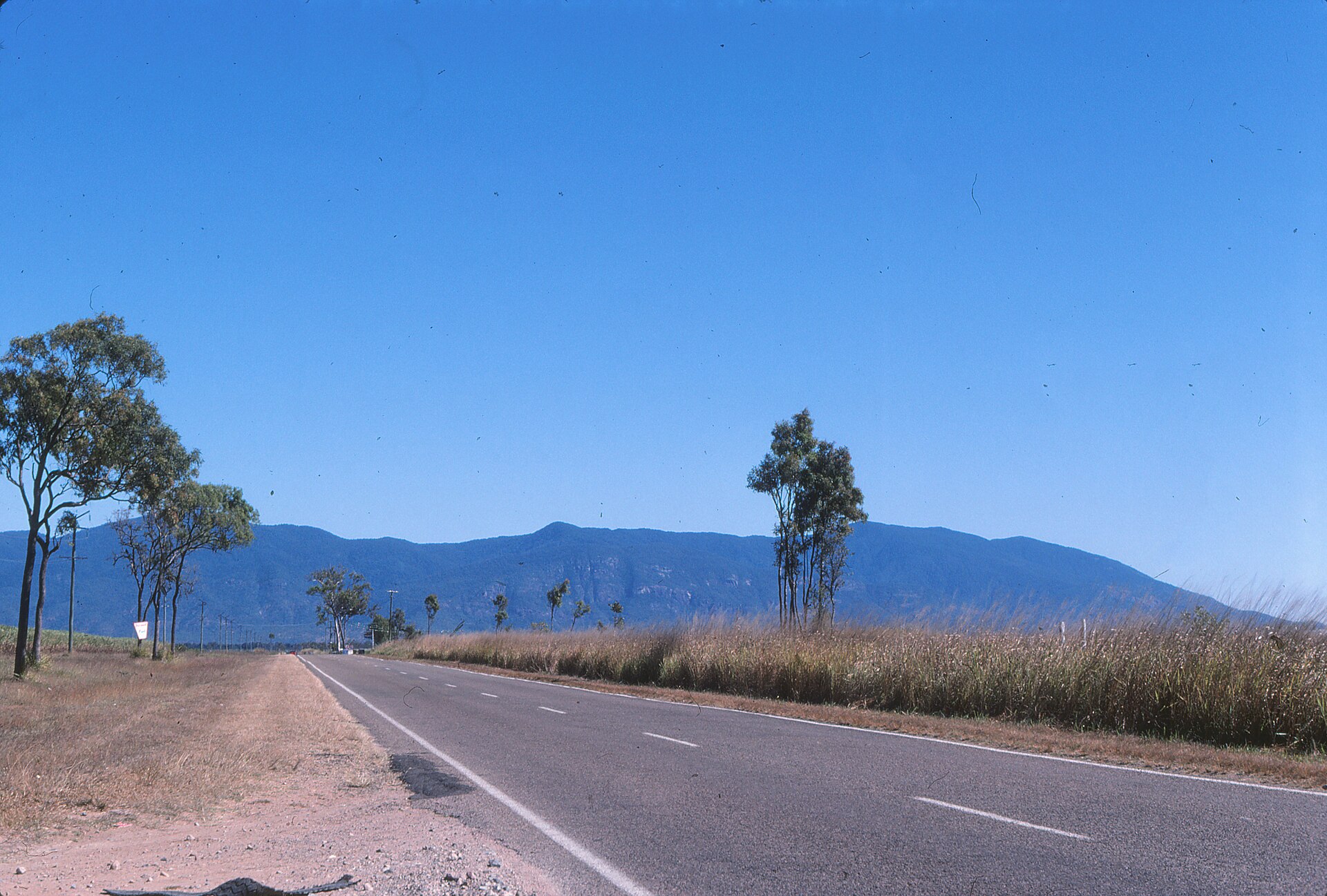 The Paluma Range seen across open grassland from the Bruce Highway.